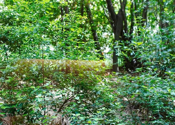 公寓 Mediterranean Bliss Near Old Town And *