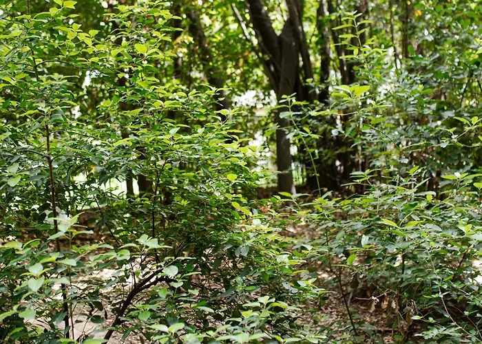 Mediterranean Bliss Near Old Town And * 斯普利特